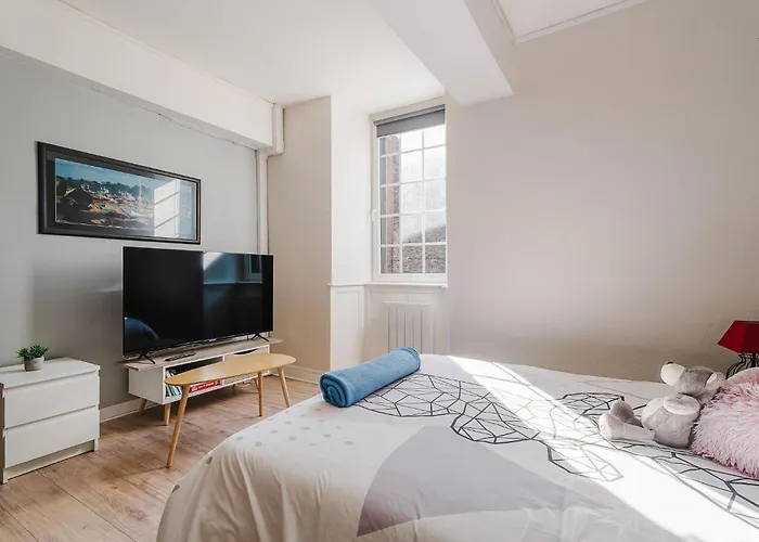 Appartement De Caractere Hyper Centre