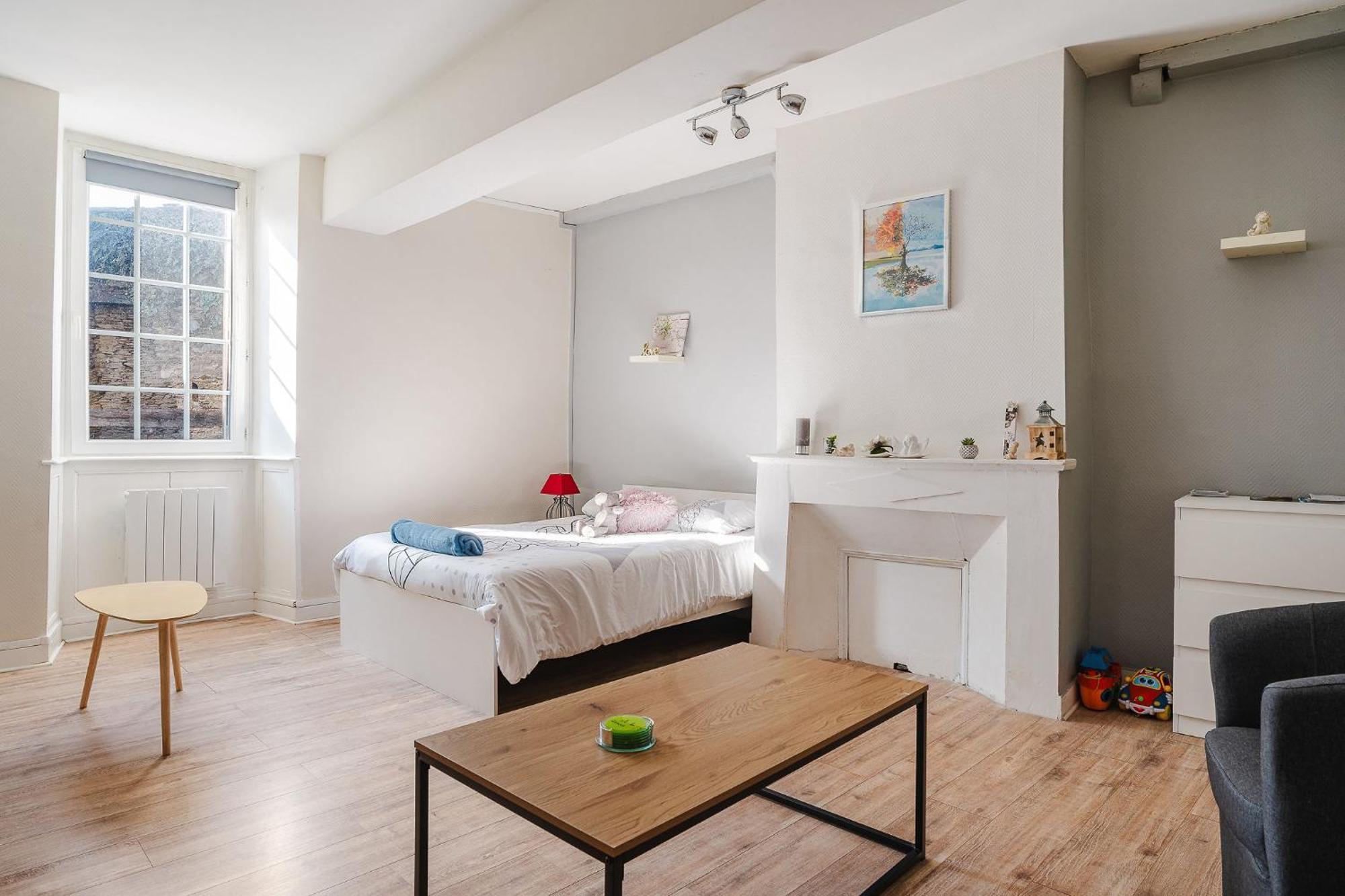 De Caractere Hyper Centre Appartement